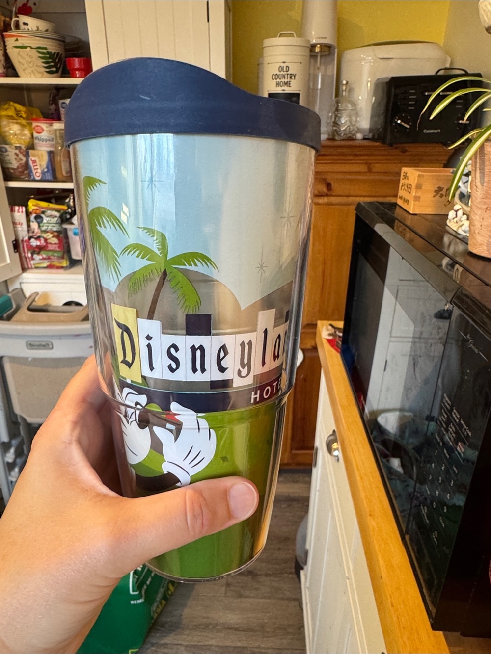 Disney Disneyland hotel Tervis drink tumbler NWT unused